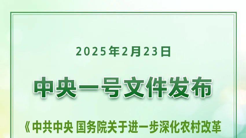 解读中央一号文件，引领农业现代化新征程，展望2025年新征程