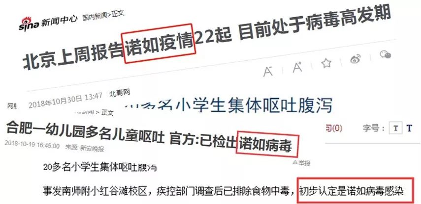 教育局回应小学因诺如病毒停课，保障学生健康安全至关重要