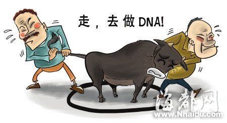 花239万自体丰胸检出黄牛驼鹿DNA